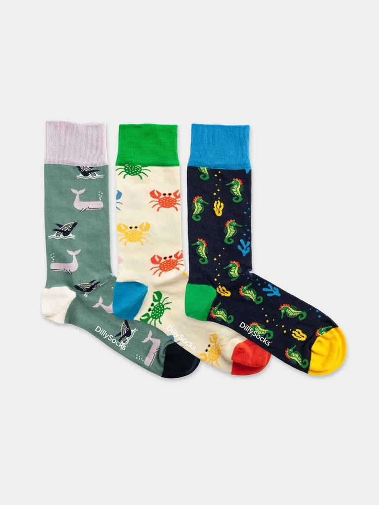 Socken Box Under the Sea von Dilly Socks 1