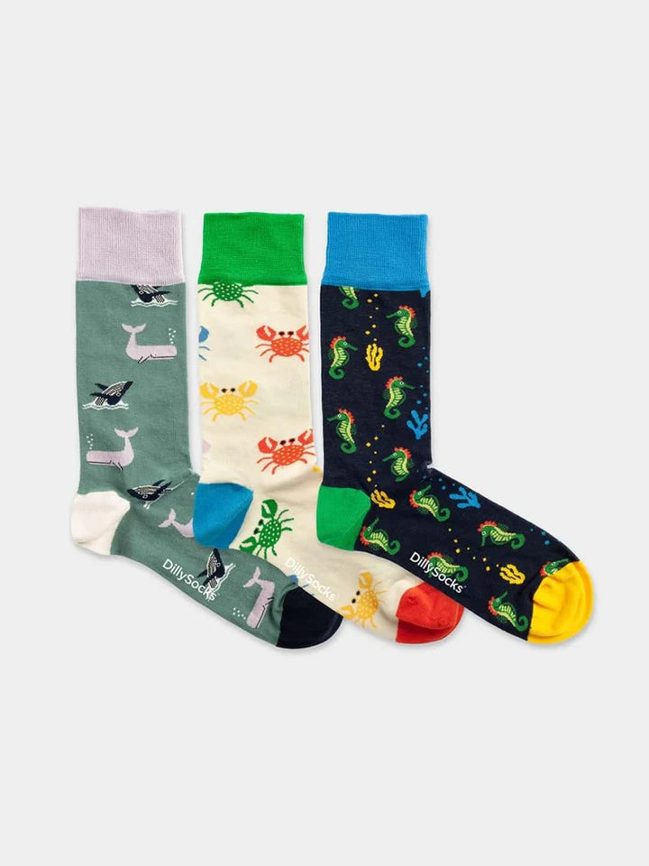 Socken Box Under the Sea von Dilly Socks 1