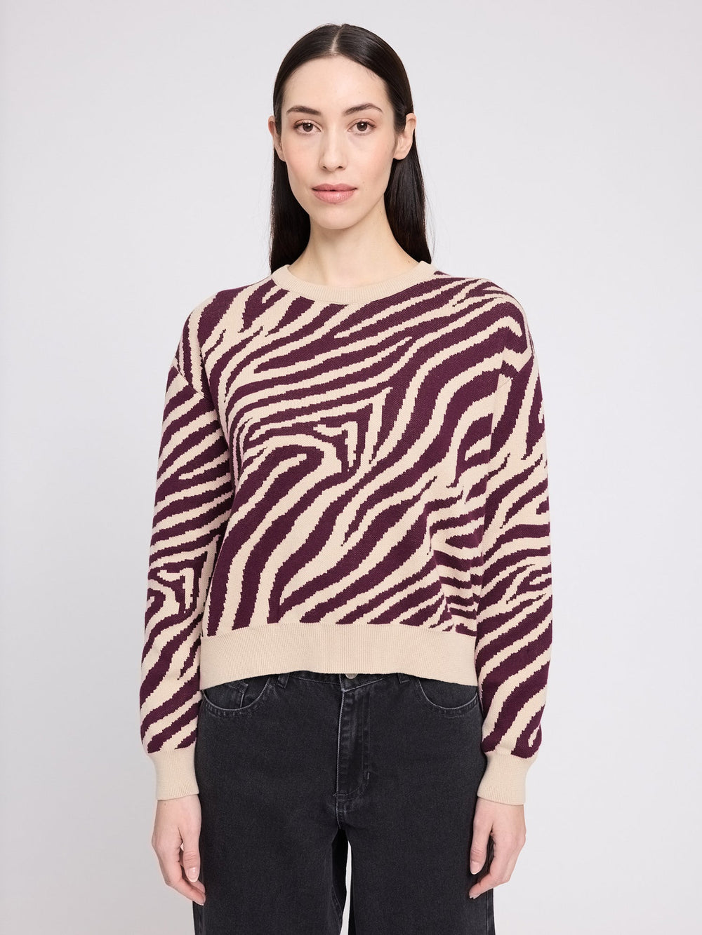 Pullover Zebra Jacquard Knit Jumper Light Beige/Burgundy von Mazine 2