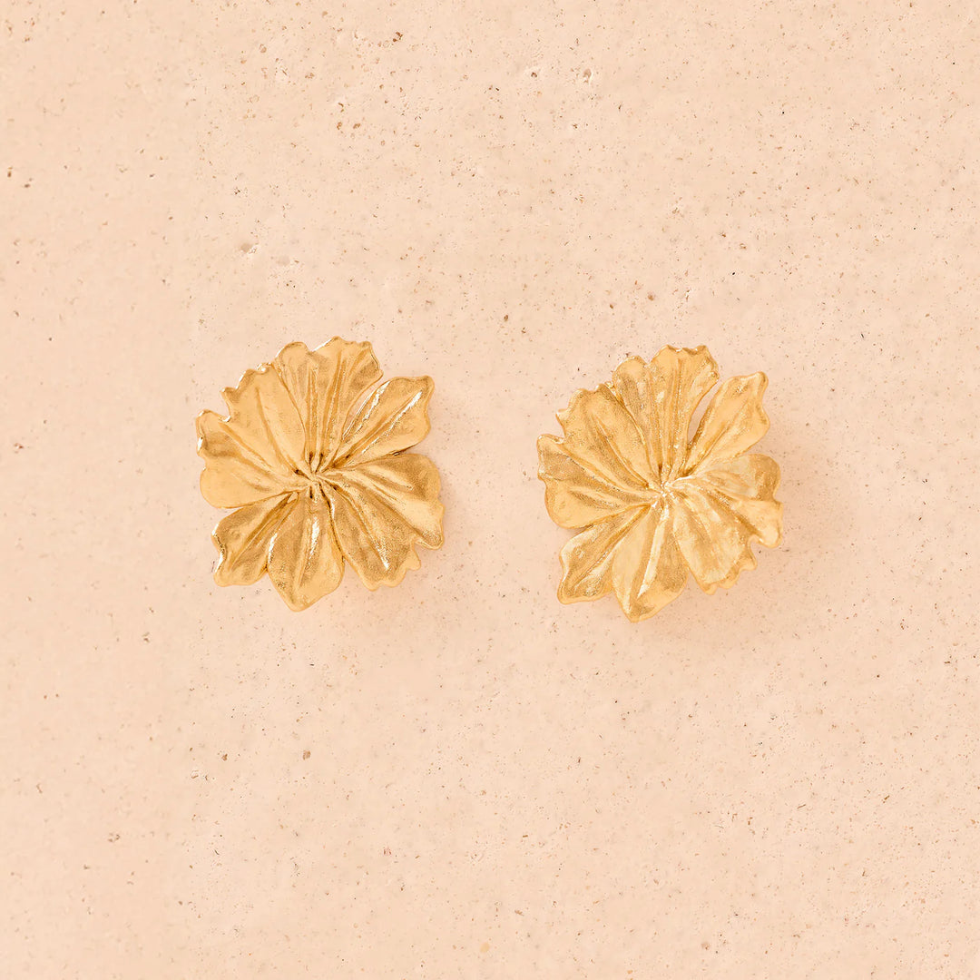 Ohrstecker Adonis von Agapee