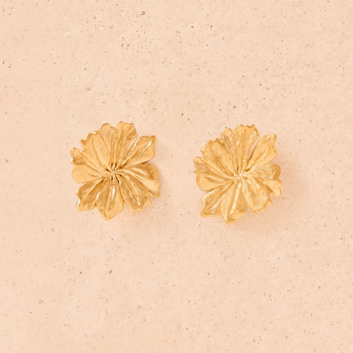 Ohrstecker Adonis von Agapee