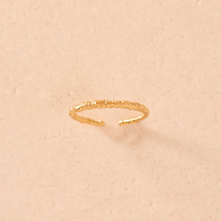 Ring Zetita von Agapée