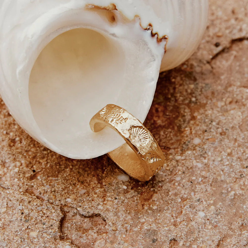 Ring Nucella von Agapée 2