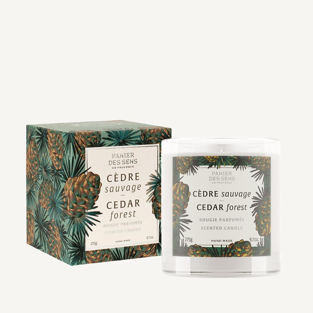 Duftkerze Cedar Forest von Panier des Sens