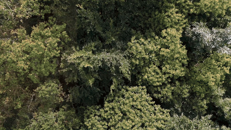 Landingpage von Faguo