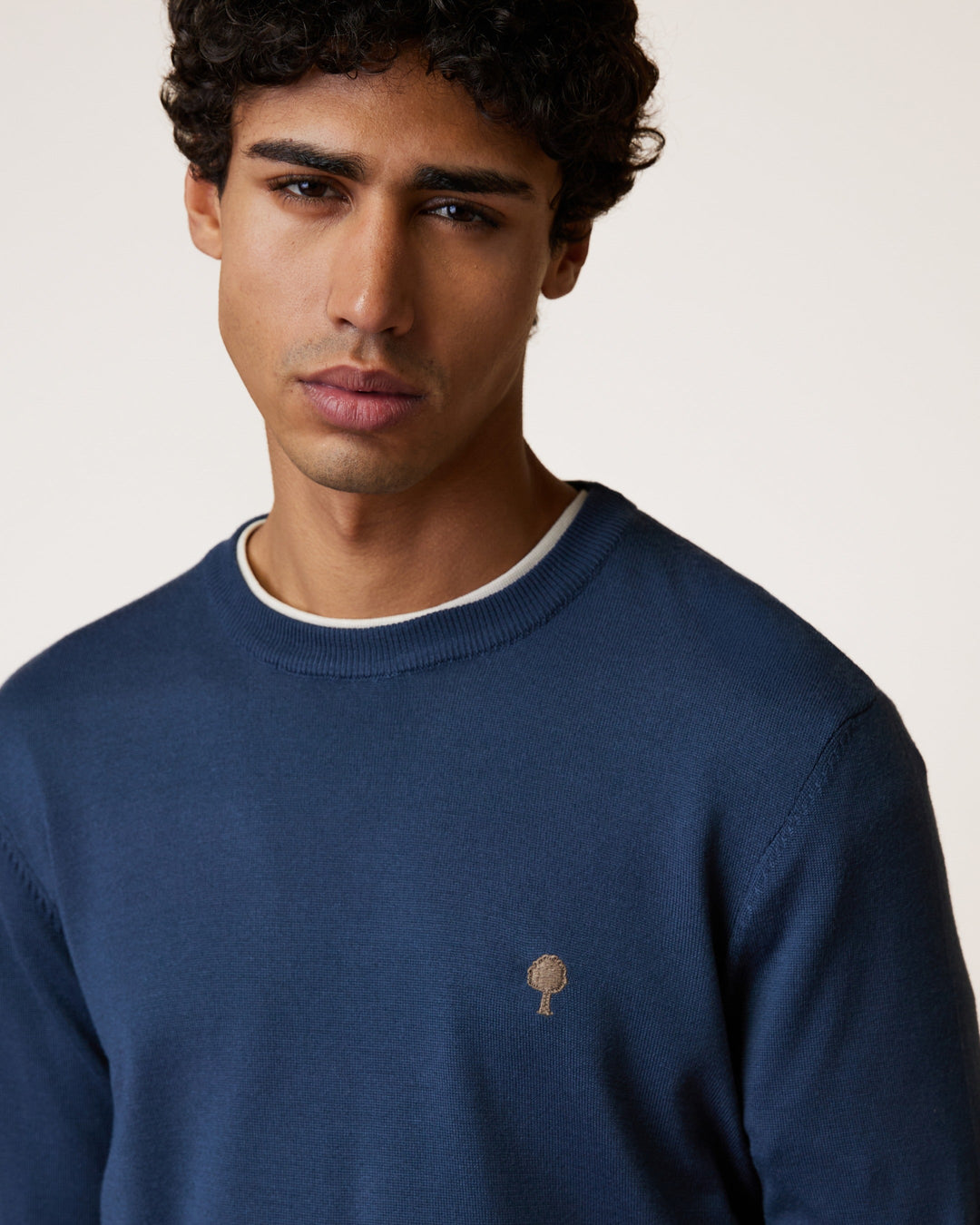 Pullover Marly Marineblau von Faguo am Model