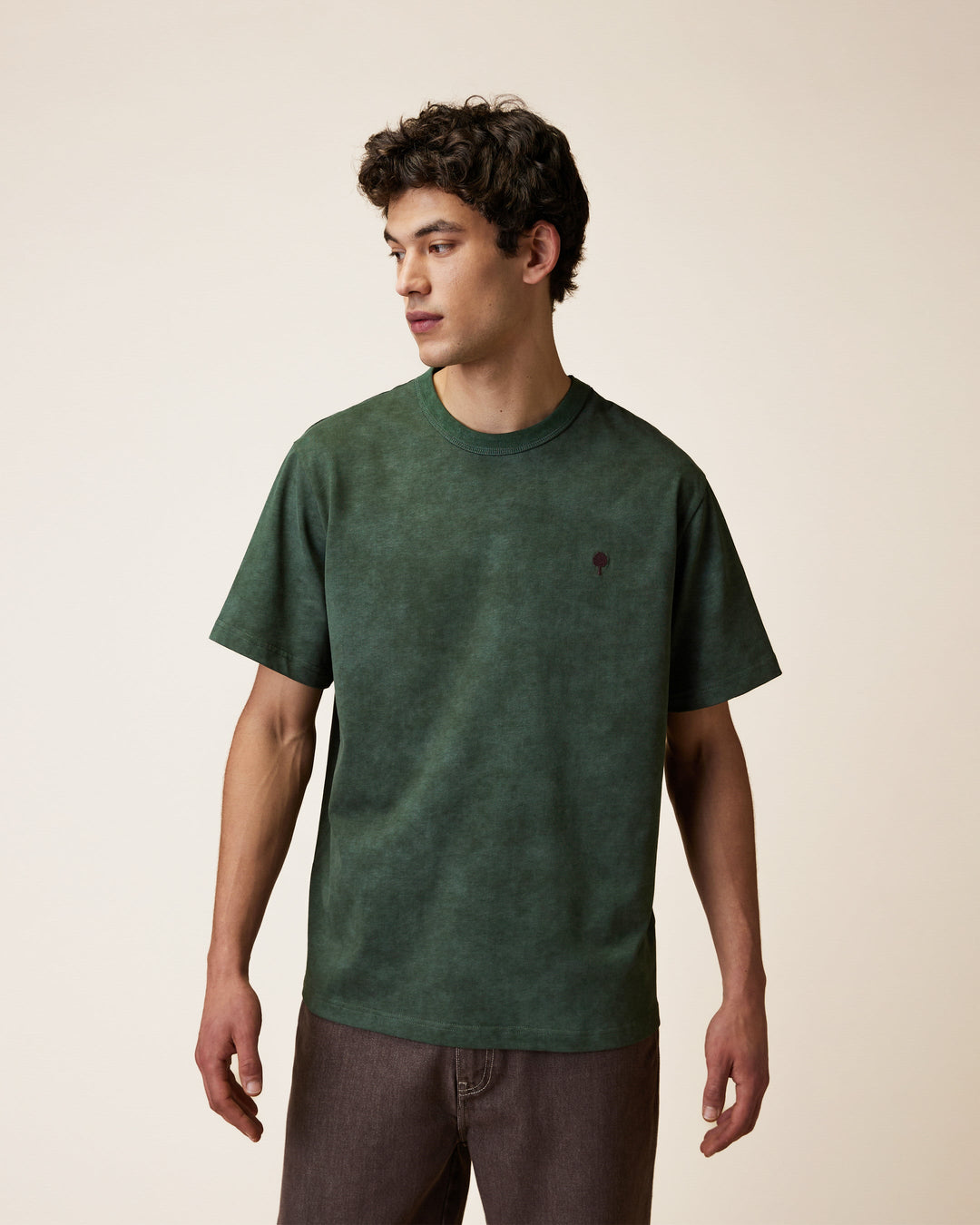 T-Shirt Lugny Dunkelgrün meliert von Faguo am Model